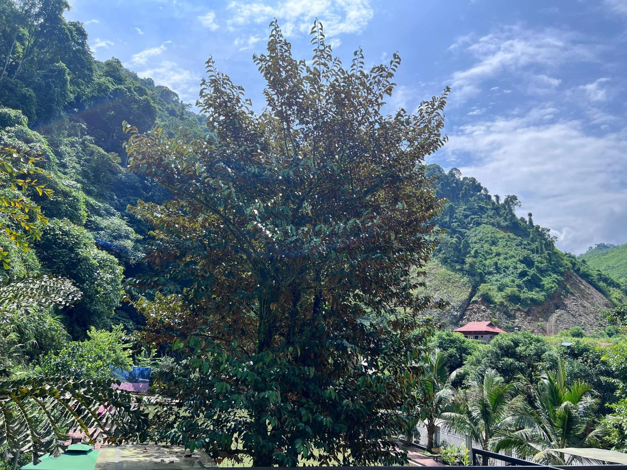 Wind'S House Ha Giang Bed and Breakfast Εξωτερικό φωτογραφία